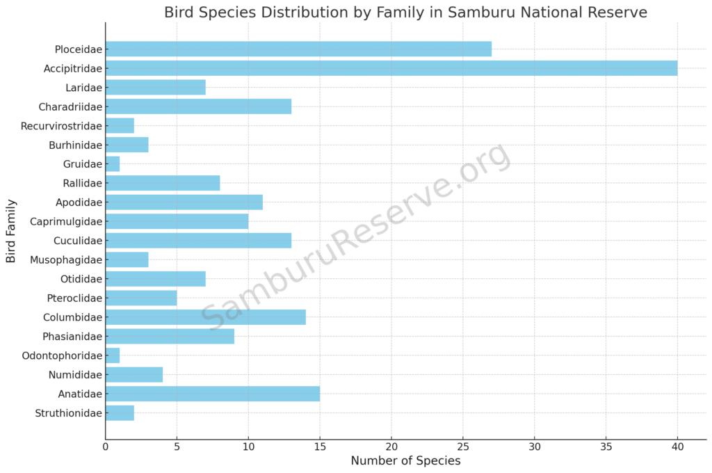 Bird Species Distribution By Family In Samburu National Reserve